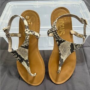 Circus by Sam Edelman Black and Cream Sandals